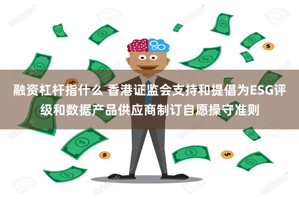 融资杠杆指什么 香港证监会支持和提倡为ESG评级和数据产品供应商制订自愿操守准则