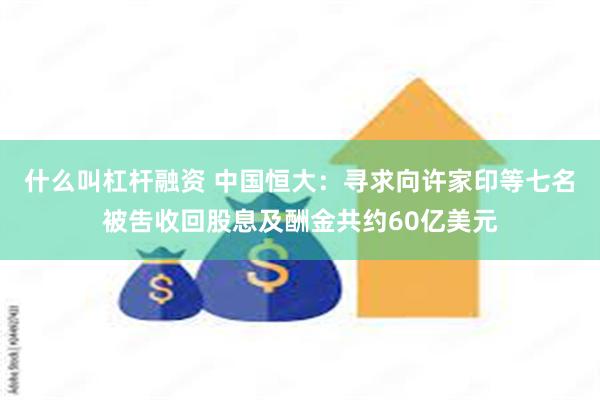 什么叫杠杆融资 中国恒大：寻求向许家印等七名被吿收回股息及酬金共约60亿美元