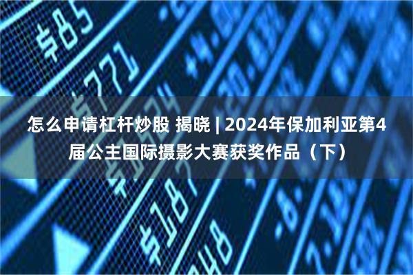 怎么申请杠杆炒股 揭晓 | 2024年保加利亚第4届公主国际摄影大赛获奖作品（下）