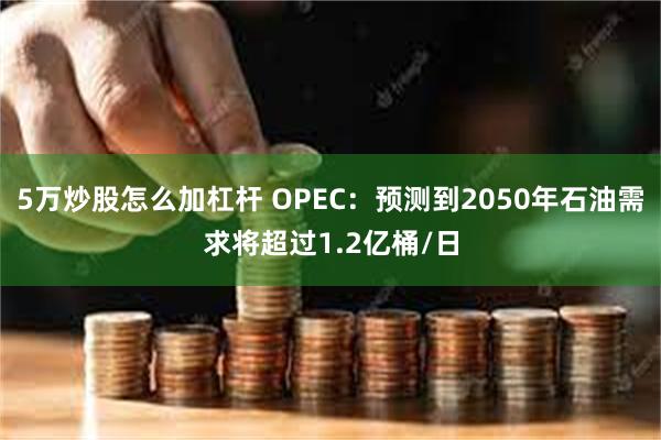 5万炒股怎么加杠杆 OPEC：预测到2050年石油需求将超过1.2亿桶/日