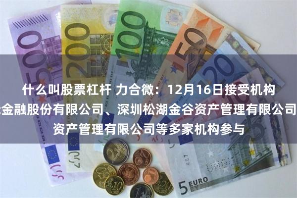 什么叫股票杠杆 力合微：12月16日接受机构调研，中国国际金融股份有限公司、深圳松湖金谷资产管理有限公司等多家机构参与