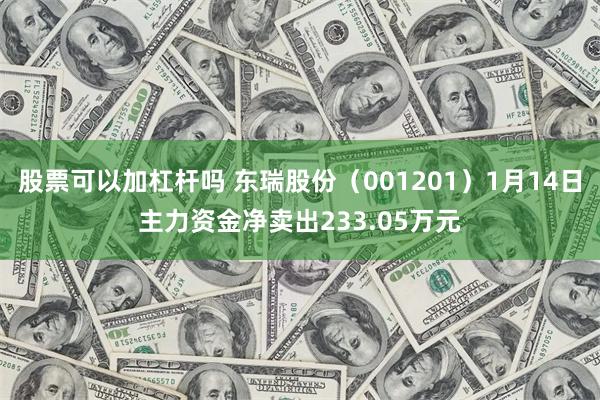 股票可以加杠杆吗 东瑞股份（001201）1月14日主力资金净卖出233.05万元