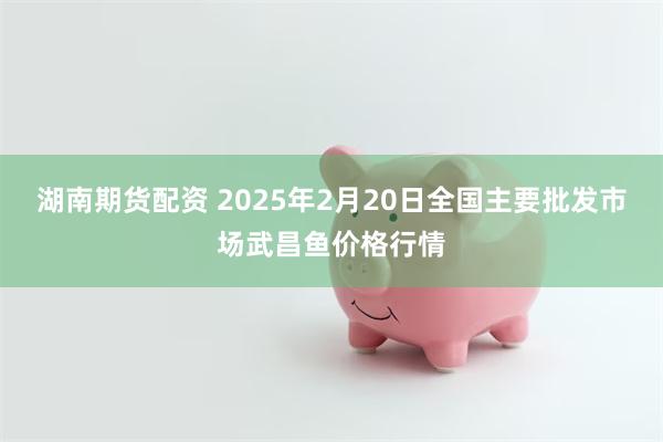 湖南期货配资 2025年2月20日全国主要批发市场武昌鱼价格行情